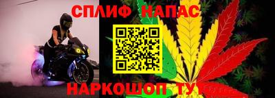 эйфоретик Краснодар