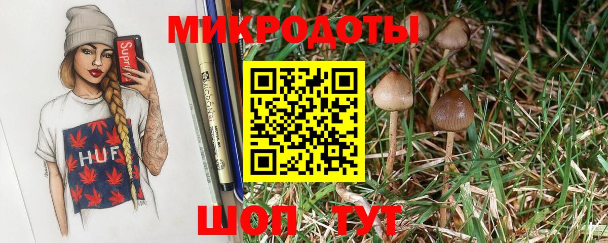Галлюциногенные грибы мицелий Златоуст