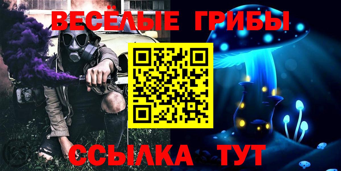 Златоуст  Псилоцибиновые грибы мицелий  как найти закладки  Псилоцибиновые грибы Psilocybine cubensis  Вход с VPN 